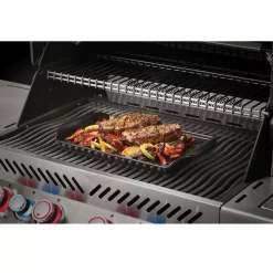 Keramikplatte Napoleon Mit Geflügelbräter -Geschäft Für Campingausrüstung napoleon grills keramikplatte mit gefluegelbraeter gefluegelhalterung grillzubehoer 1000 4 21701