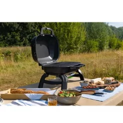 Mobiler Gasgrill Napoleon TravelQ 240 -Geschäft Für Campingausrüstung outdoor grill 7 personen edelstahlbrenner wave grillrost trvel q 240 napoleon propangas grill 1000 12 24599