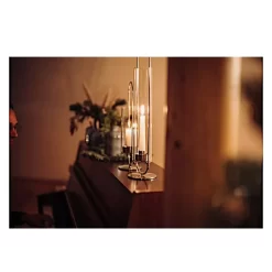 Windlicht Höfats Oval Candle, Silber, 35 Cm 10 Windlicht Höfats Oval Candle, Silber, 35 Cm -Geschäft Für Campingausrüstung oval candle silber hoefats windlich fuer draussen und drinnen kerzenhalter 1000 3 25623