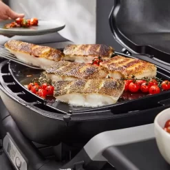 Weber Plancha Für Gasgrill Q 1100N Und Q 1200N -Geschäft Für Campingausrüstung weber plancha gusseisen antihaftbeschichtung gleichmaessige hitzeverteilung 1000 4 28142